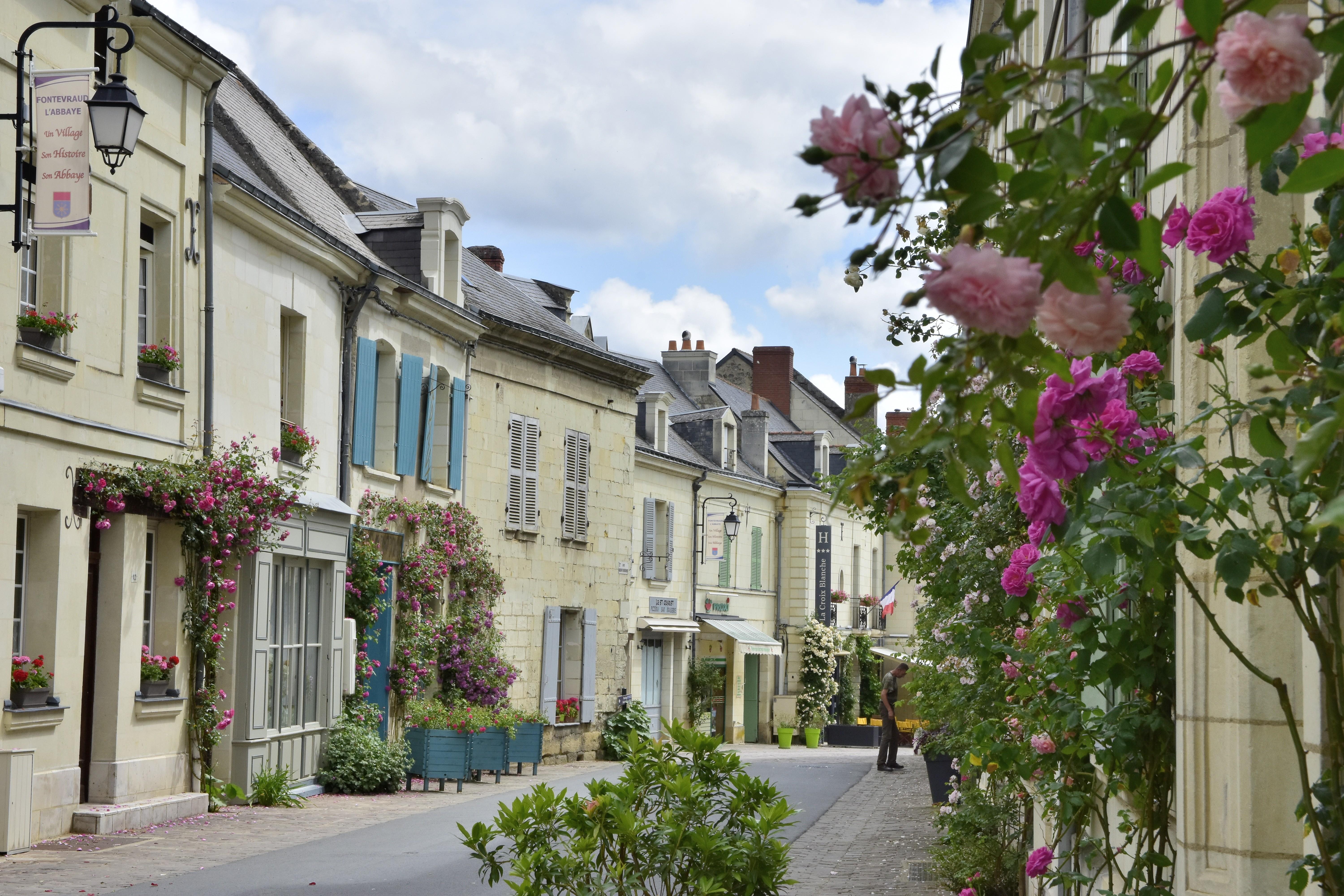 Logis Hotel La Croix Blanche Fontevraud Eksteriør bilde